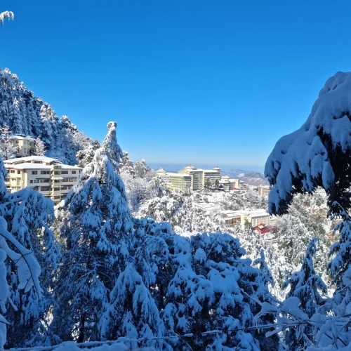 01cchvcsxo3vpmsx6lenwnitjt0d_onum-punk-tu-17xsAejFE6o-unsplash