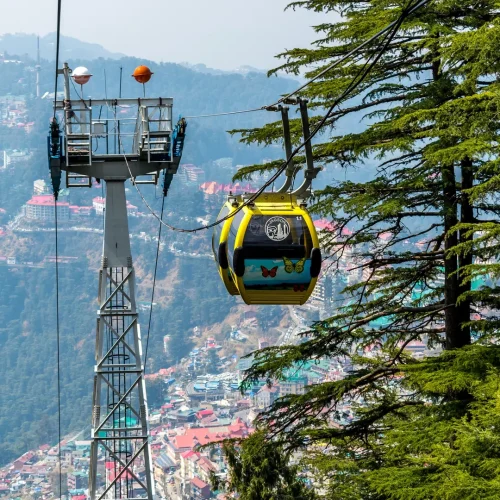 8cmmmgleu6pn4eu9zm7ajoprl5sw_shutterstock_2276630751