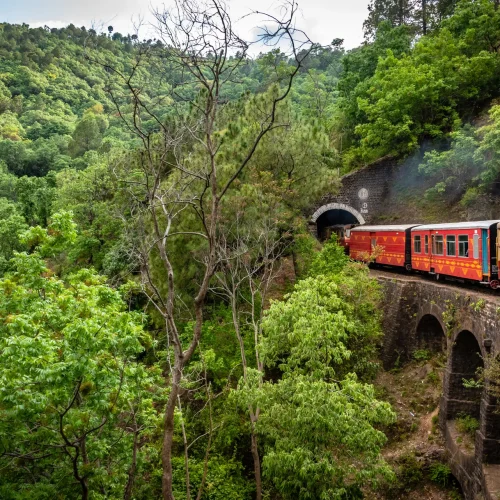 ynn8hpkw7p80zhnoc8d6r9f9bts7_shutterstock_1434846938